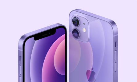 万冲镇苹果手机维修分享紫色版iPhone 12有什么技术亮点 